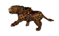 Leopardo Bebé 3.png