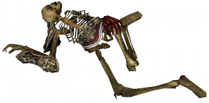 Esqueleto de Sura 3